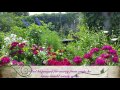 "Garden" by My Epic - Lyric Video