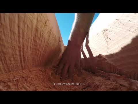 Herstellung einer Klotzbeute - artgerechte Bienenhaltung