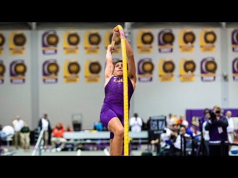 The Physics of a Pole Vault