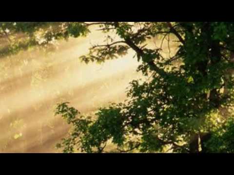 Rosemary Blue ... Neil Sedaka