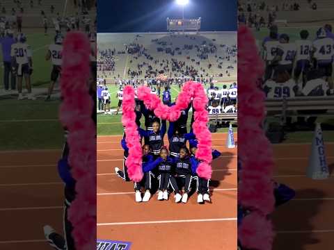 🩷💙🖤 #cheer #cheerleading #highschool #pompom