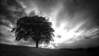 Darkseed - Souls Unite