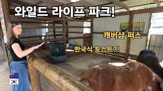 KOREAN TOASTIES & CAVERSHAM WILDLIFE PARK [International Couple]