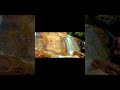 Waterfall Whatsapp Status Highest Waterfall Waterfall Shorts Scenery