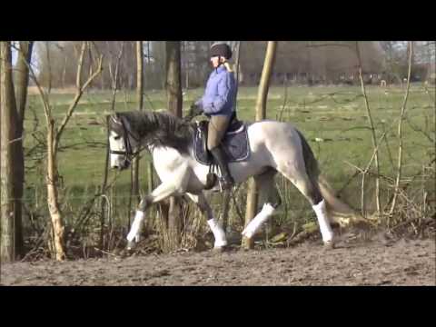 Obtinado RJ_März_2017