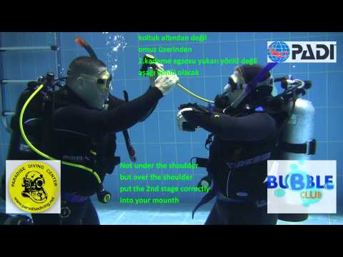 PADI IDC Skill Demonstration - Alternate Air Source Use