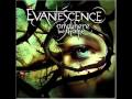 Evanescence - Imaginary [Live]
