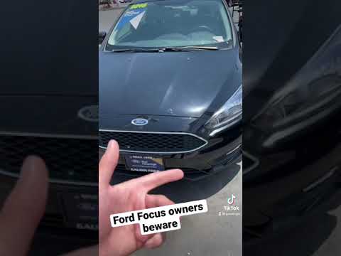 The INSANE Truth about this Ford Focus...