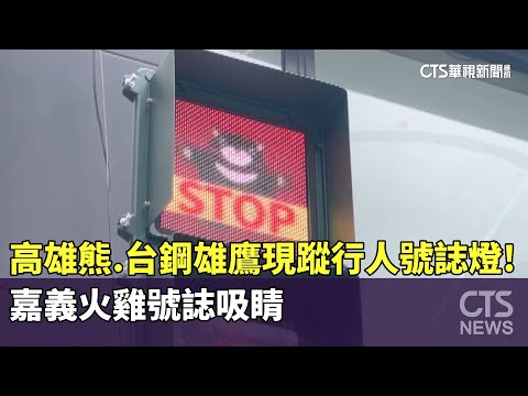 高雄熊.台鋼雄鷹現蹤行人號誌燈！　嘉義火雞號誌吸睛