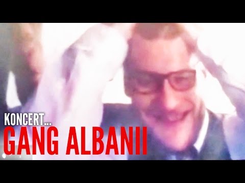 blog.preorder.pl x Gang Albanii Live!