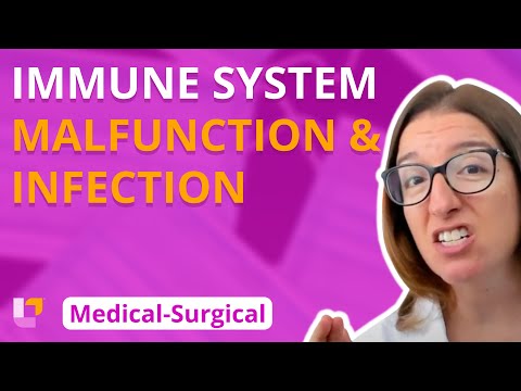Immune System Malfunction & Infection: Medical-Surgical - Immune System | @LevelUpRN
