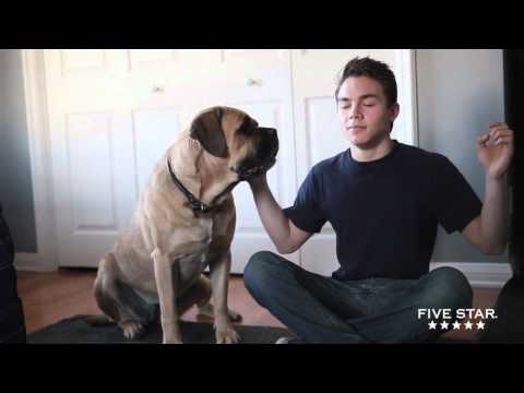 Five Star Behind-The-Scenes: Cinco In Training