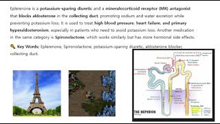 Eplerenone, K sparing diuretic, aldosterone blocker, Spironolactone, collecting duct, potassium,