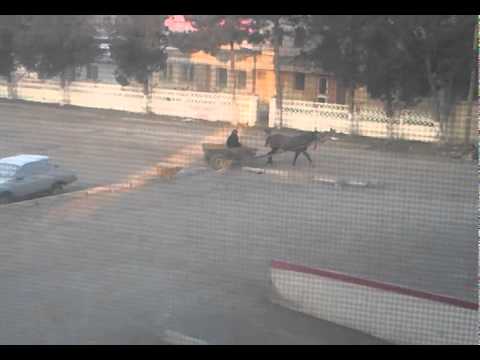 An normal morning in Medgidia, Romania!