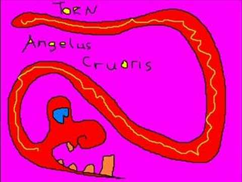 Torn - Angelus cruoris