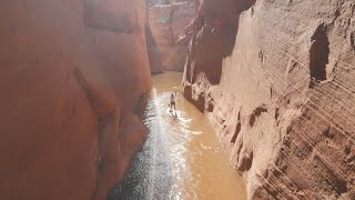 Across the West Desert
