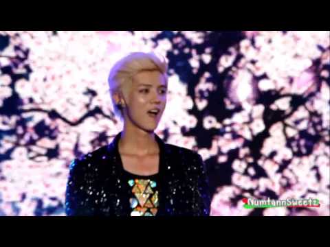 [HD] 130330 Super Joint Concert-What is love Luhan focused