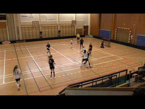 Argentum 91 - Haparanda F-Röd 20190209