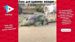 Приколы 2018 года, Декабрь | Смешная подборка видео приколов.