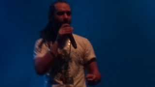 Taïro Olympia - High Grade