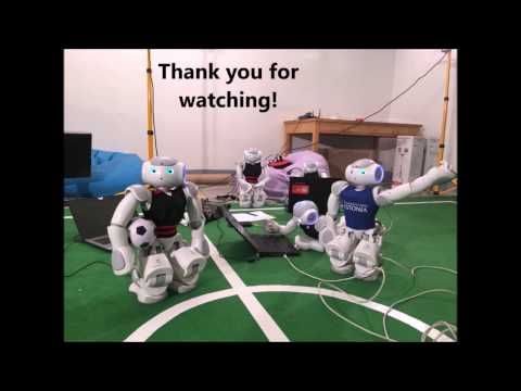 Team Philosopher Qualification Video for Robocup 2017