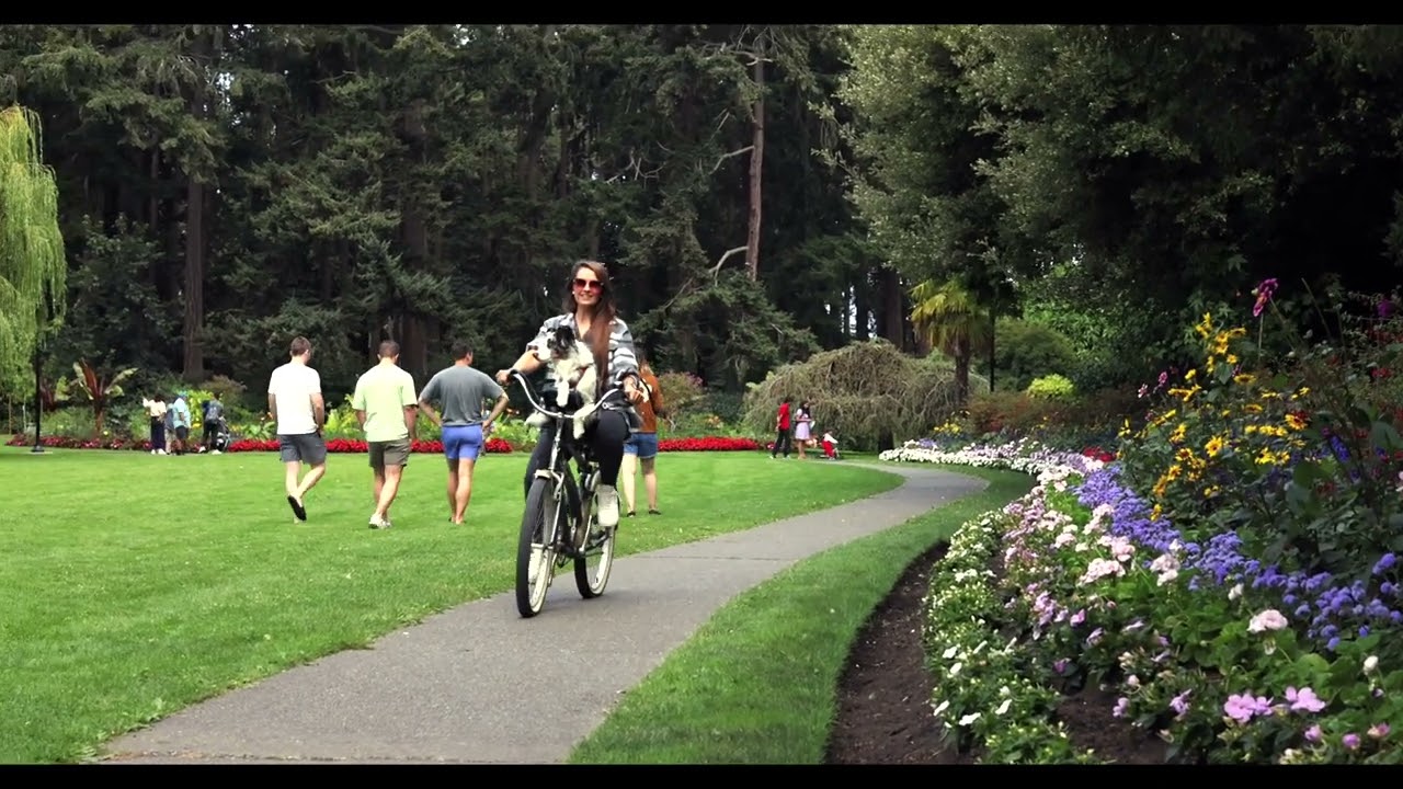 Buddyrider dog bike seat demo