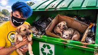 RESGATEI CACHORRINHOS ABANDONADOS NO LIXO *Adotei