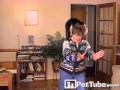 Tai Chi Kitty PetTube