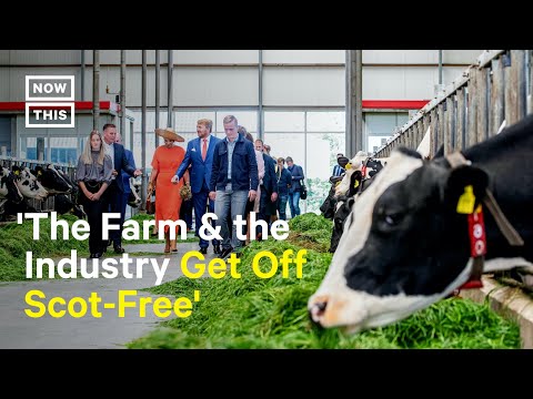 Harvard Fellow Calls Out Farm Industry Cover-Up Tactics