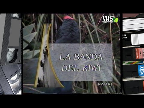 GEO, viaggio nel pianeta Terra - LA BANDA DEL KIWI