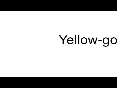How to pronounce Yellow-golds