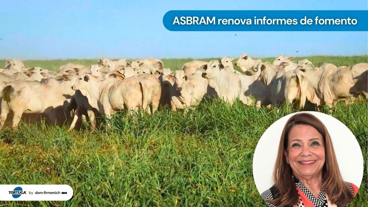 ASBRAM renova informes de fomento | Noticiário Tortuga