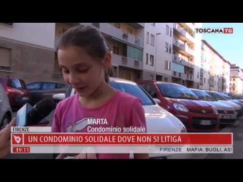 2017-05-26 TG REGIONALE ORE 19.00