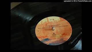 The avalanches - Etoh (vinyl audio)