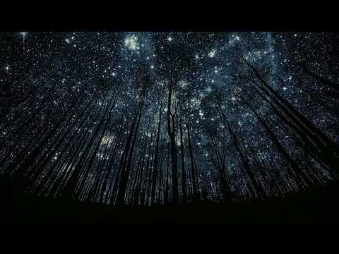 Kadet ✖ Majk ✖ Lasuch - Sentencje