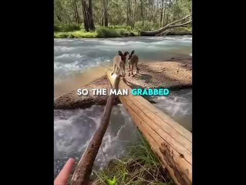 Kindness Always Comes Back..❤️‍🩹