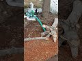 Compact 1 5hp Motor