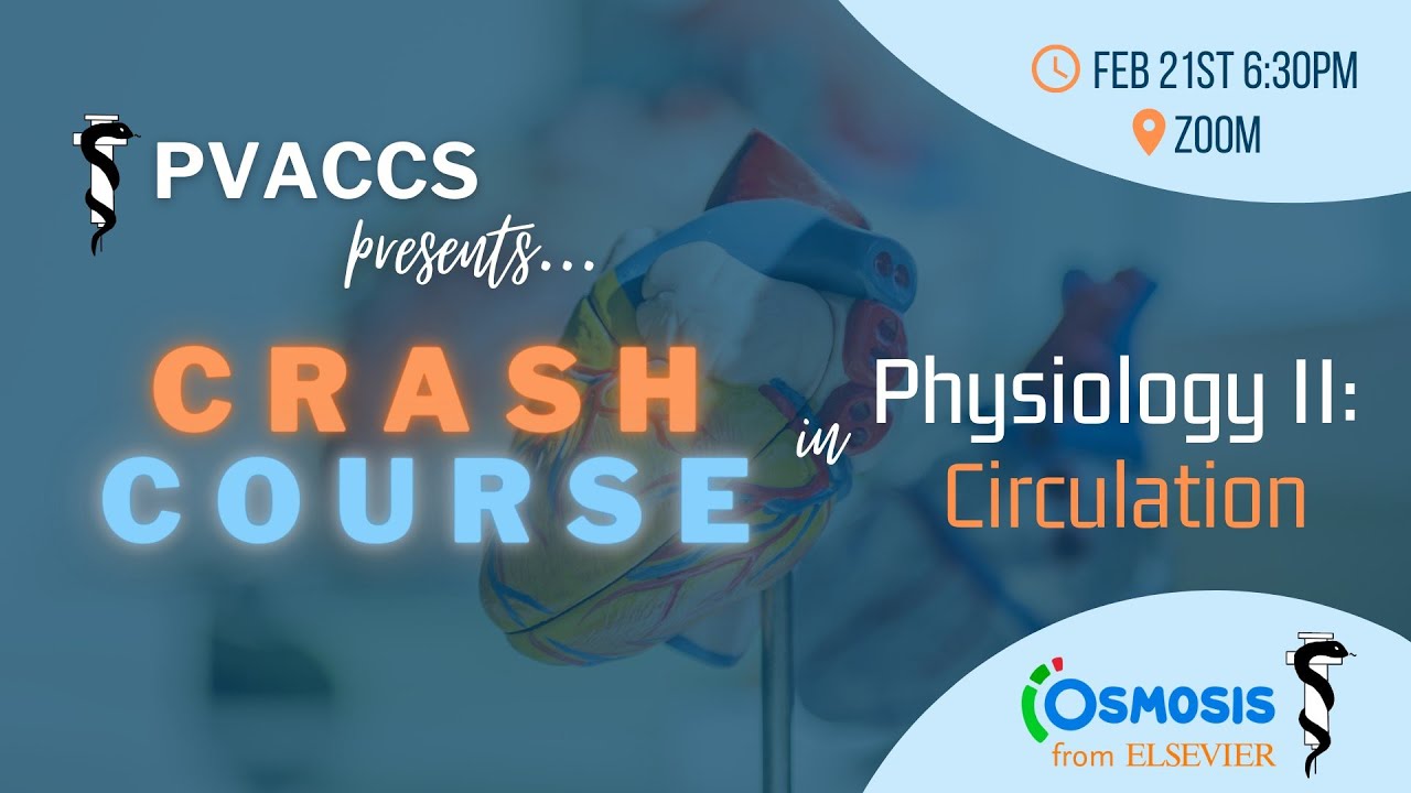 PVACCS CRASH COURSE: Physiology II (Circulation)
