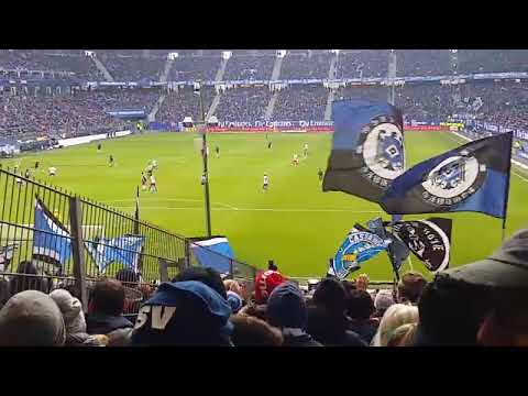 HSV - Hertha