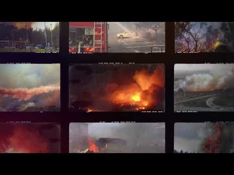 היערכות הרשויות המקומיות לשריפות, תפקודן במהלך גל השריפות בנובמבר 2016, פיצוי הניזוקים והעלויות למשק