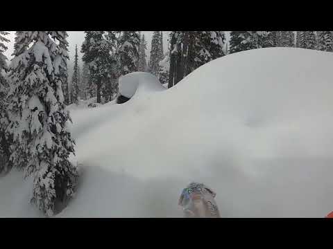 Reagan Sieg TreeShredding a Stock Ktm 450 with Mtn Top 3.25 126! What an amazing setup!