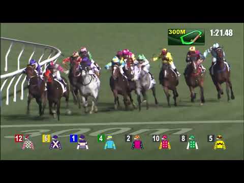 26/1/2022 (367) Happy Jai Jai - J Moreira