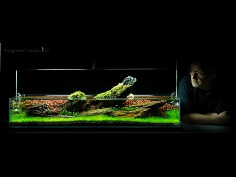 Aquarium Aquascape Tutorial Guide 'Crimson Sky' by James Findley & The Green Machine