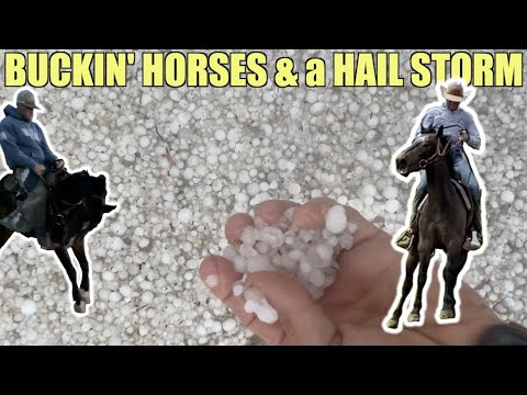 BUCKIN' HORSES & a HAIL STORM - Rodeo Time 252 Part 2