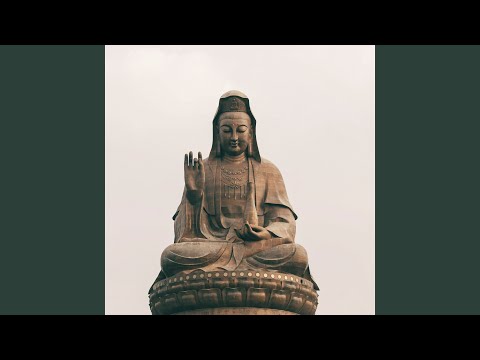 Вчуся бачити