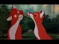 The Fox And The Hound Appreciate The Lady