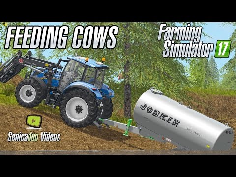 Cows Feeding in Goldcrest Valley