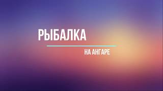 Ссылка
