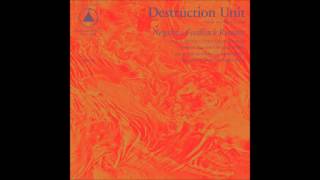 Destruction Unit - Negative Feedback Resistor (2015)