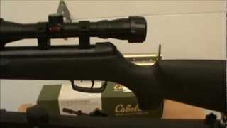 Gamo Big Cat 1250 .177 Cal Air Rifle Review, Shooting and Chrony Test